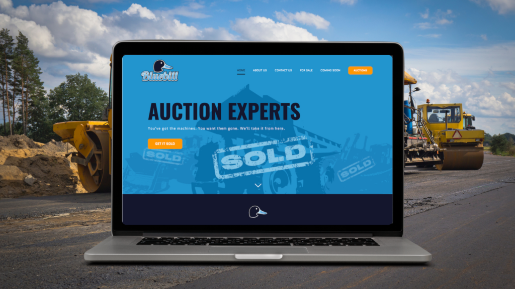 BlueBill Auctions