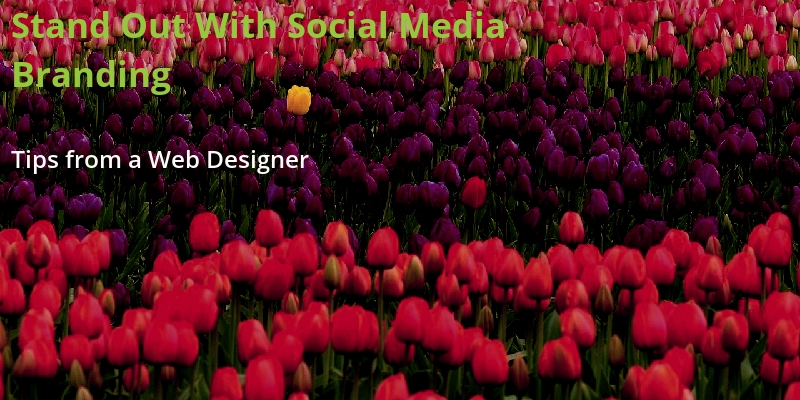 Standing out with social media branding with tips from a web designer