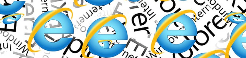 Windows Internet Logo